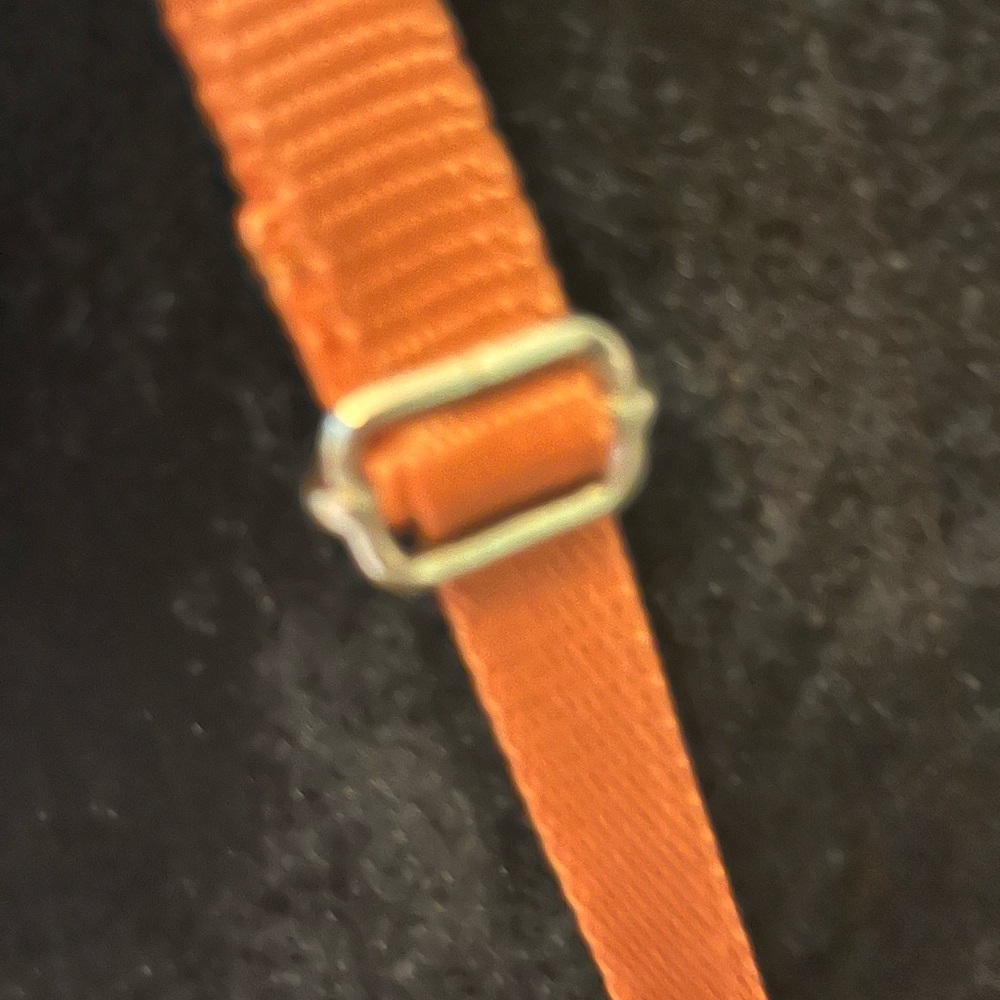 Desten Texas Longhorn Clear Crossbody Bag - Picture 4 of 6